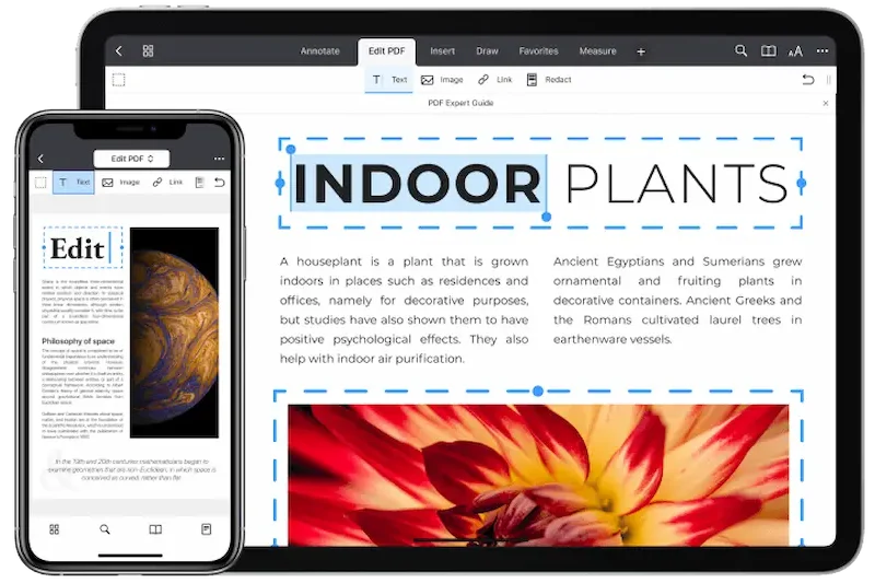 Features to Look for in the Best PDF Editor for iPad