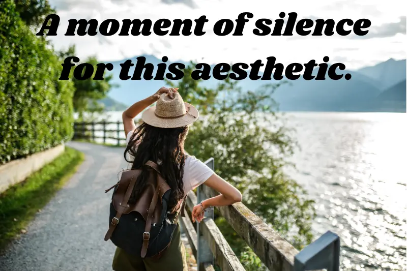 a moment of silence for this aesthetic