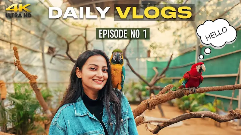 daily life and vlogging Ideas