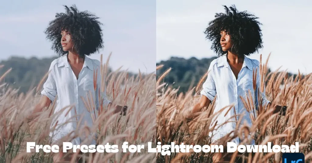 free presets for lightroom download