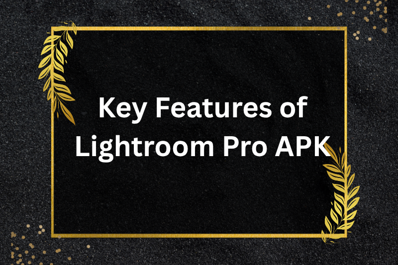 key features of lightroom pro apk