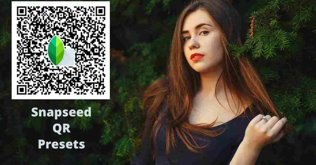 snapseed qr presets