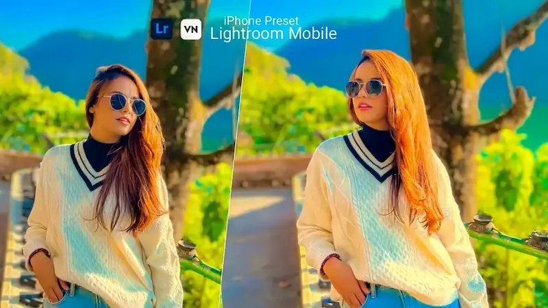 what are lr presets dng