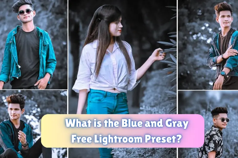 what is the blue and gray free lightroom preset