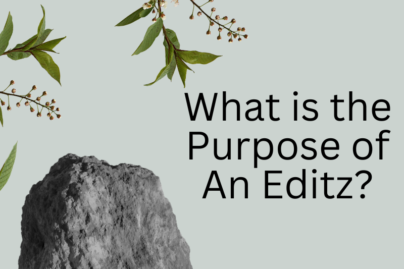 what is the purpose of an editz